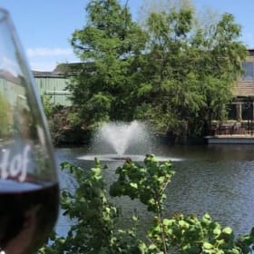 “Pour Decisions” Wine Experience for 6 item