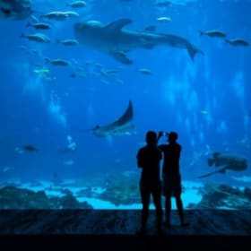 Aquarium of the Pacific - 2 Tickets (OA305) item