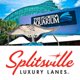 Pins & Fins: Aquarium & Bowling Family Adventure item
