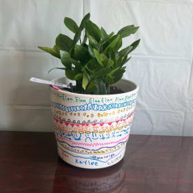 Mrs. Johnson's 4th Grade Class Project-House Plant item