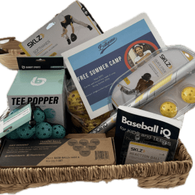 #21- Baseball Development item