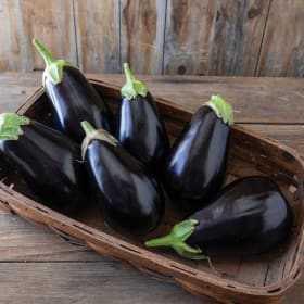 Eggplant - Black Beauty item