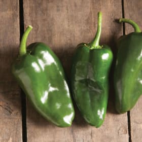 Pepper - Poblano item