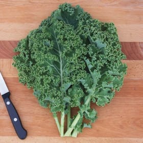 4" Curly leaf kale (each) item