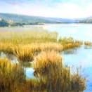 CT Marshland - Dana Goodfellow item