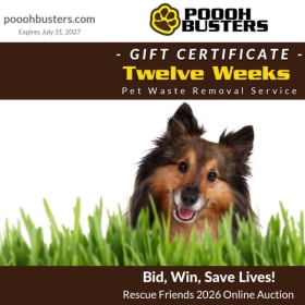 12-Week Pet Waste Removal Service – Poooh Busters item