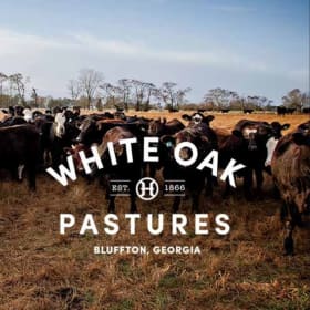 One-Night Forest Cabin Stay — White Oak Pastures item