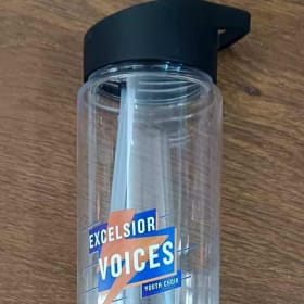 Excelsior Voices 24 Oz Water Bottle item