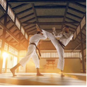 School of Martial Arts-1 Month of classes #1 item