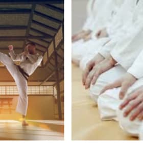 School of Martial Arts-1 Month of classes #2 item