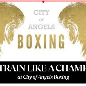 City of Angels -1 Month of Boxing #1 item
