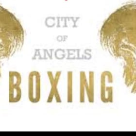 City of Angels -1 Month of Boxing #2 item