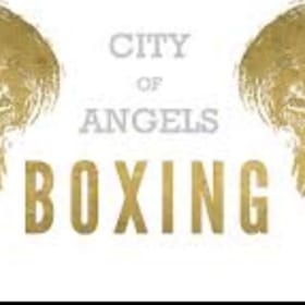 Group Class - City Of Angels Boxing item
