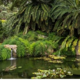 2 Tix to Lotusland item