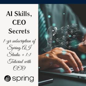 D4: 1-yr subscription of Spring AI Studio + 1:1 with CEO item