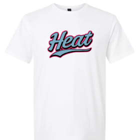 *New Logo* Gildan Softstyle ADULT T-Shirt item