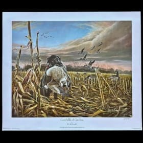 "Cornfields of Carolina" by RJ McDonald item