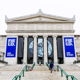 Four (4) Tickets to the Field Museum item