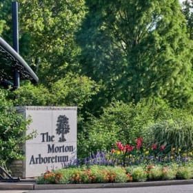 Six (6) Tickets to the Morton Arboretum item