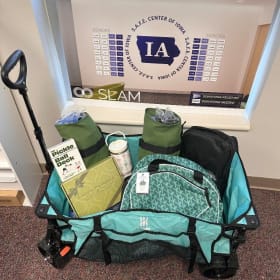 Pickleball Set item