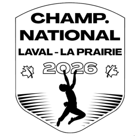 National Championship Patch item