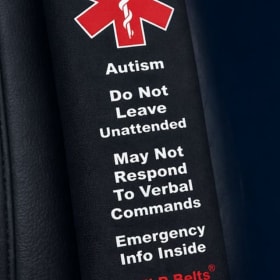 1 Seat Belt Cover item