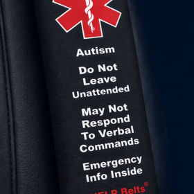 10 Seat Belt Covers item