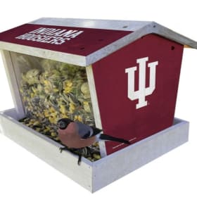 Indiana Hoosiers Bird Feeder item