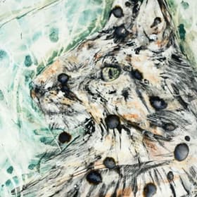 Canadian Lynx - Plat en porcelaine / Porcelain Platter item