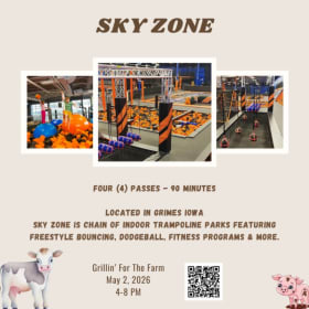 Sky Zone item
