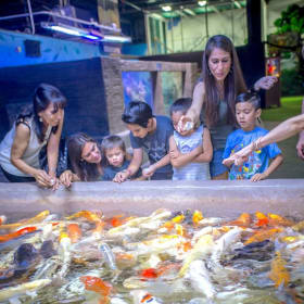 Deep Sea Discovery: San Antonio Aquarium Family Adventure item