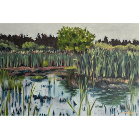 'Spring in Rithet's Bog' (Unframed) by Arabella Young item