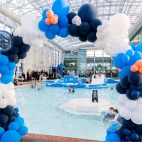The Plunge - Pool Party or 10 Day Pass item