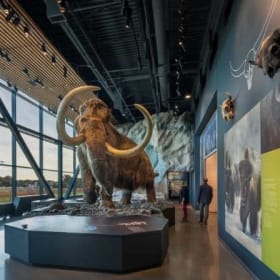Trip to the Bell Museum and Planetarium for 4 item