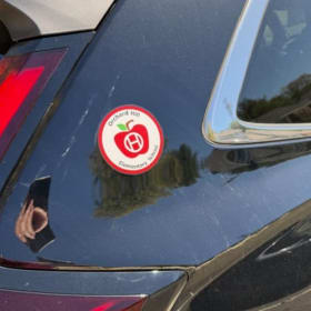 Magnet (4in) item