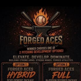 Forged Aces Pitching Program item