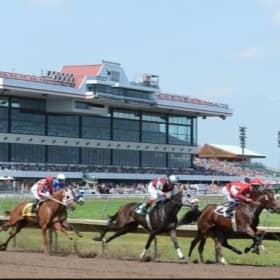 Canterbury Park – Premium Race Day Experience for 8 item