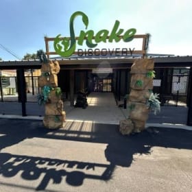 Snake Discovery – Family Admission for Up to 5 item