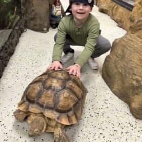 Snake Discovery – Family Admission for Up to 5 item