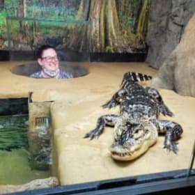 Snake Discovery – Family Admission for Up to 5 item