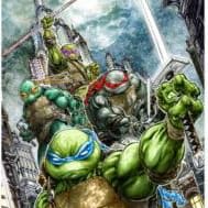 TMNT Universe signed Print item