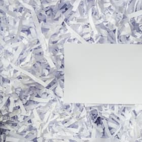Photo of Shredding