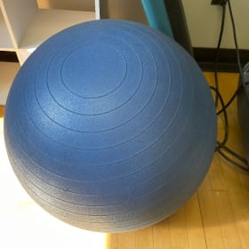 Exercise Ball item
