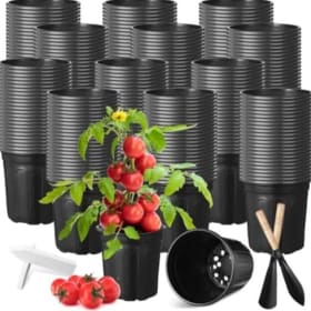 One (1) Gallon Pots - 1,000 item