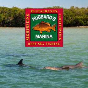 Dolphin Watching Eco Tour for Two (1 of 2) item