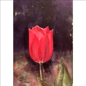 Tulip Time by Walt Costilow item