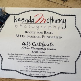Brenda Metheny 1 hour photography session item