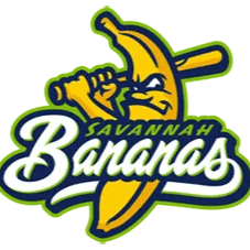 2 VIP Tickets -Savannah Banana vs The Firefighters July 30th item