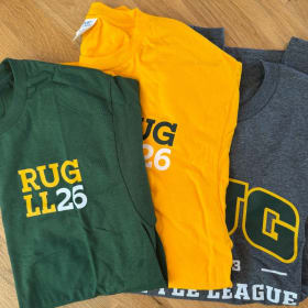 T-shirt - Green or Gray item