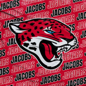 Jag Pride 60” x 70” Custom Fleece Blankets item